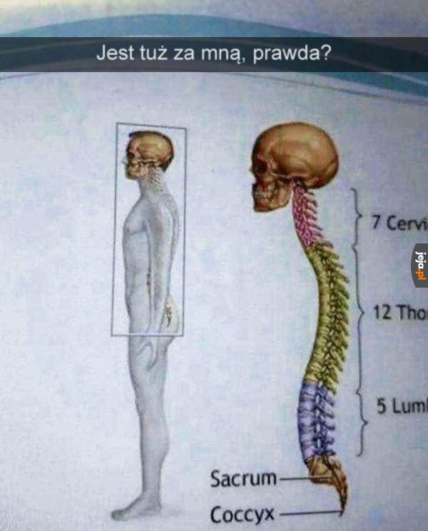 Żadnych gwałtownych ruchów...