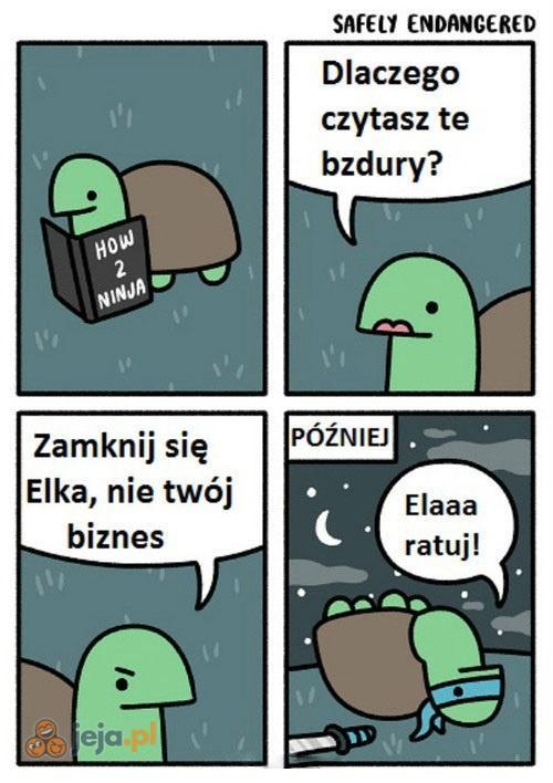 Jak zostać ninja
