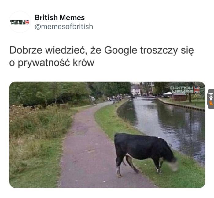 Jak ocenzurowane koty w Chłopakach z baraków