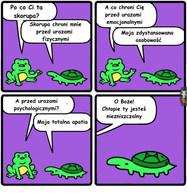 Pancerne żółwie