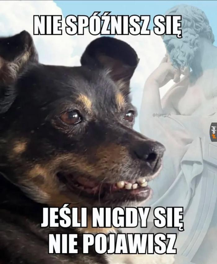 Fakty