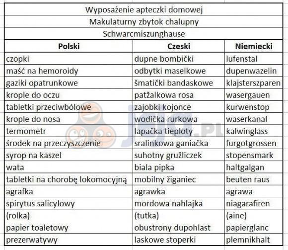 Wyposażenie apteczki