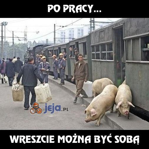 Po pracy...