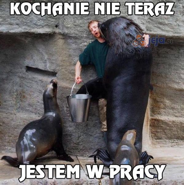 Kochanie nie teraz