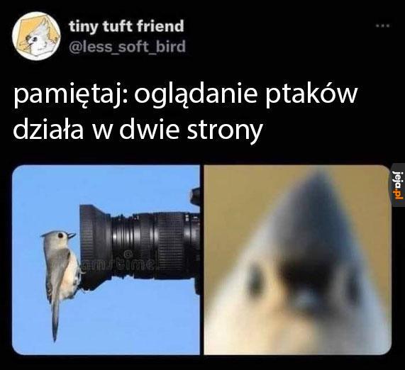 Nigdy nie wiesz, po której jesteś stronie