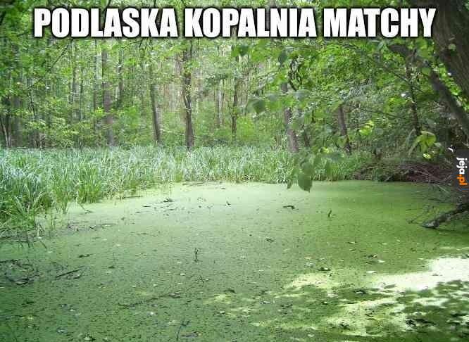 Smak prawie ten sam