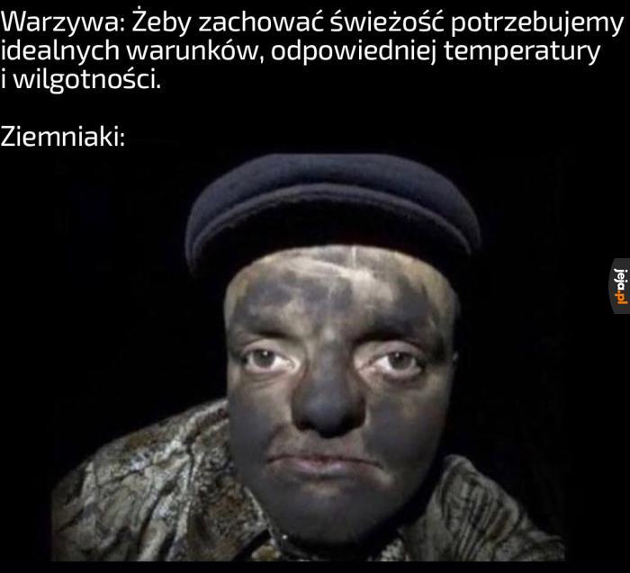 Lodówka? Na co to komu