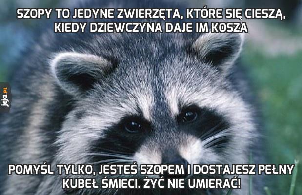 Szopy to jedyne zwierzęta, które się cieszą, kiedy dziewczyna daje im kosza