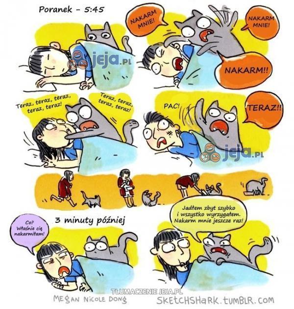 Poranna rutyna