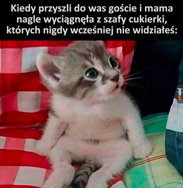 Trochę nóż w plecy