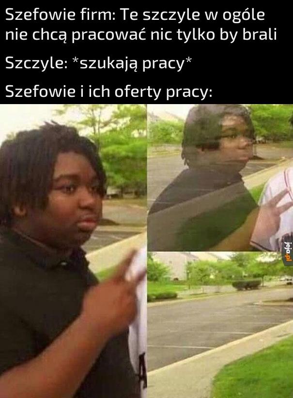 2 tygodnie próbne roboty na czarno i może dostaniesz śmieciówkę