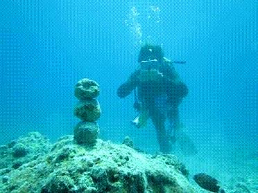 Władca rafy koralowej