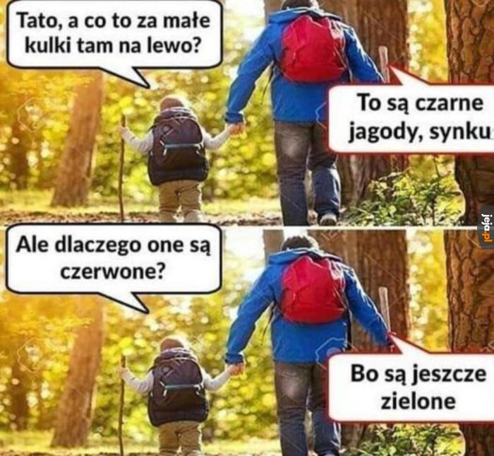 Jagódki