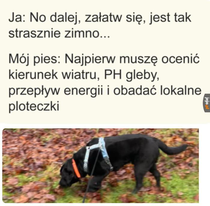 Swoje trzeba zrobić