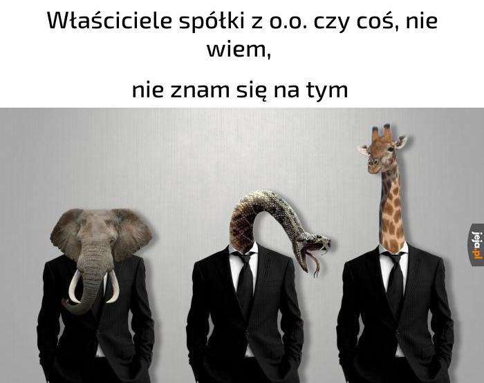 Dużo takich firm na rynku