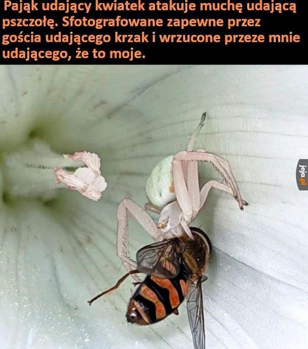 Piękno natury