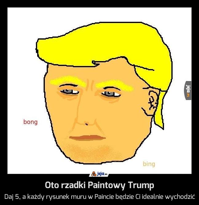 Oto rzadki Paintowy Trump