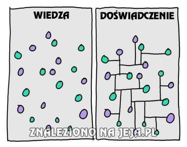 Wiedza kontra doświadczenie