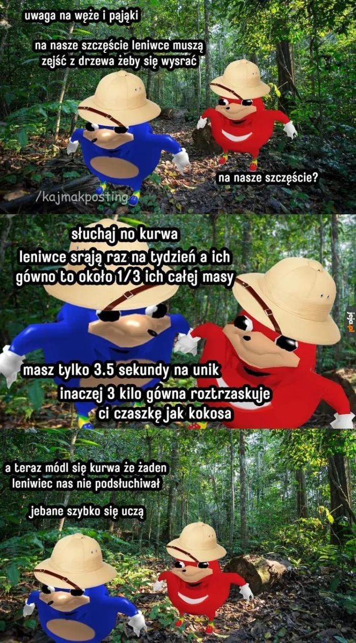 Kakałko