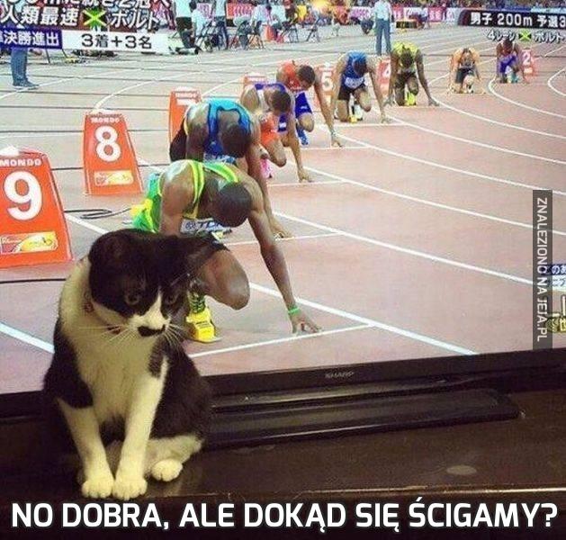 No dobra, ale dokąd się ścigamy?