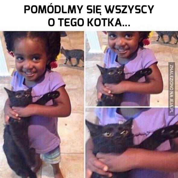 Biedny kotek...