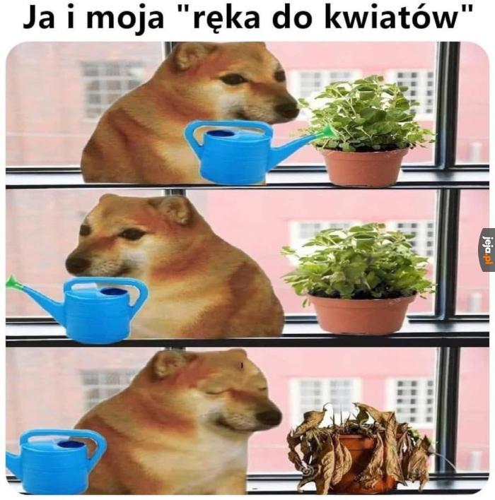 Znam się na tym