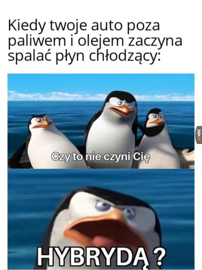 Jestem eko