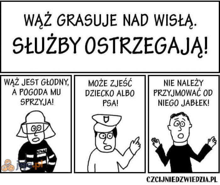 Z wężami nie ma żartów