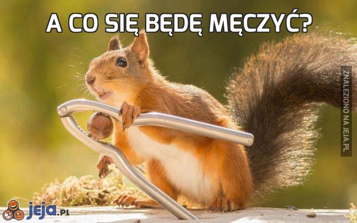 A co się będę męczyć?