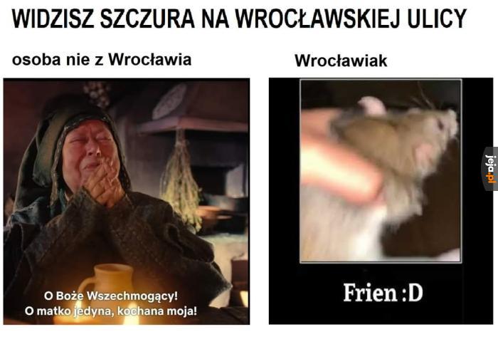 Nie wmówicie mi, że wrocławiaki istnieją naprawdę