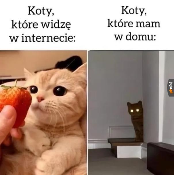 Trochę się go boję
