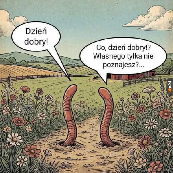 Przepraszam, ale nie mam 5-letniego doświadczenia w kopaniu.