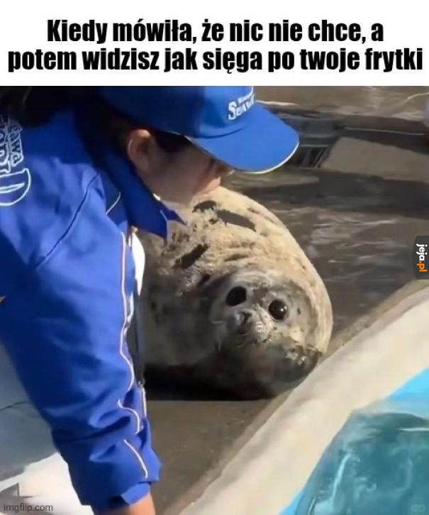 Gdzie z tymi łapami?