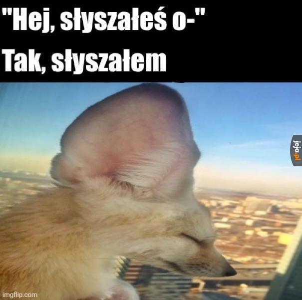 Co taki uszny