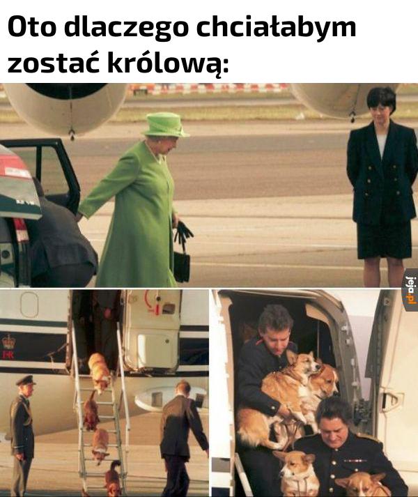 Opłaca się