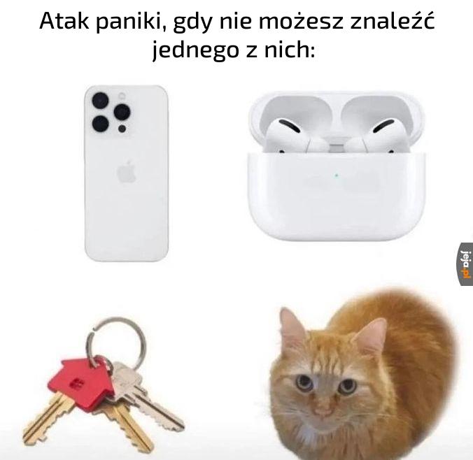 Szczególnie kotka