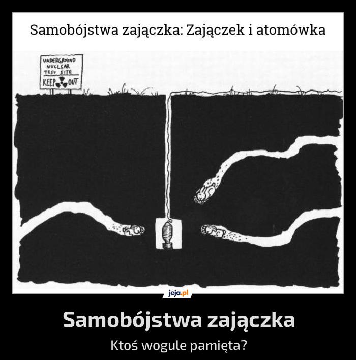 Samobójstwa zajączka
