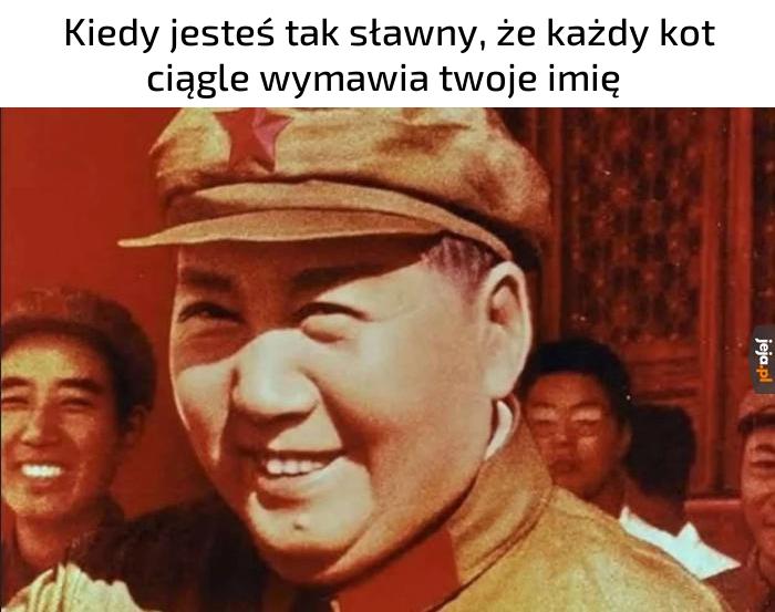 Można rzec, że idol