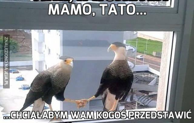 Mamo, tato...