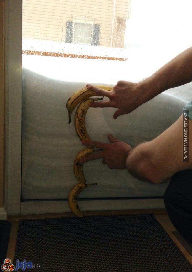 Śniegu naje*ało na 3 i pół banana