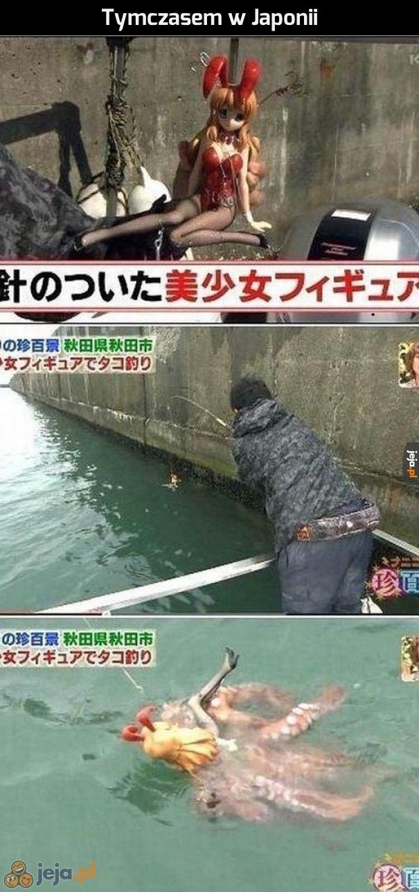 Jak Japończycy łapią ośmiornice