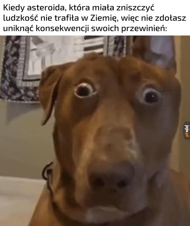 Distressing meme/Schizoposting