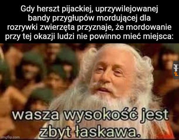 Naprawdę, nie trzeba było