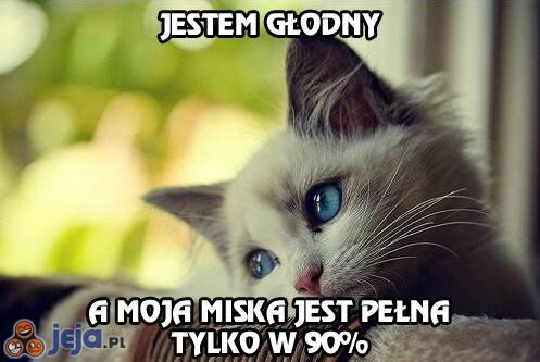 Problem każdego kota