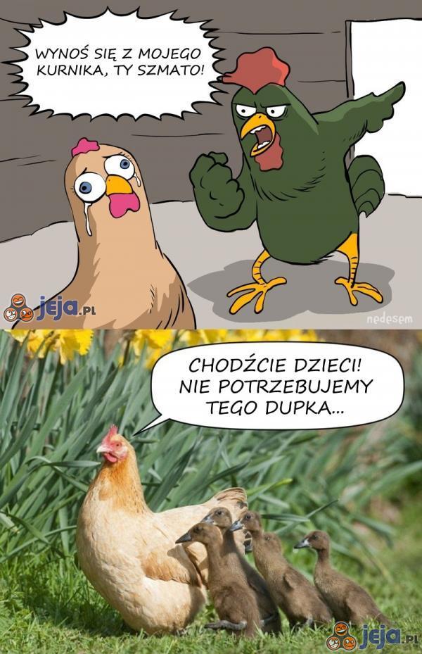 Nawet w kurniku bywa ciężko