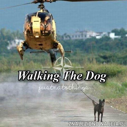 Wyprowadzanie psa