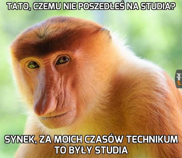 I zawód się od razu miało