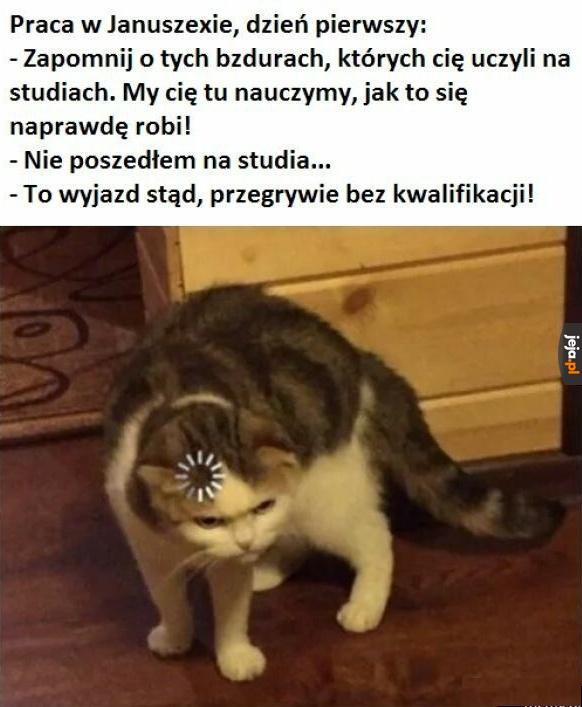 Logika rynku pracy