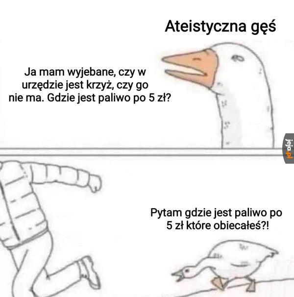 Hejże, nasza rozmowa wciąż trwa!