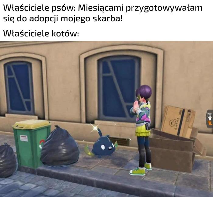 Znalazłem przyjaciela na śmietniku